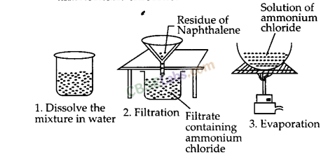 NCERT Exemplar Class 9 Science Chapter 1 Matter In Our Surroundings img-5
