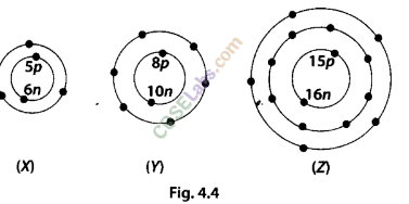 NCERT Exemplar Class 9 Science Chapter 4 Structure of the Atoms img-5