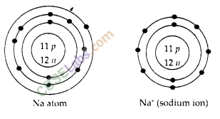 NCERT Exemplar Class 9 Science Chapter 4 Structure of the Atoms img-8