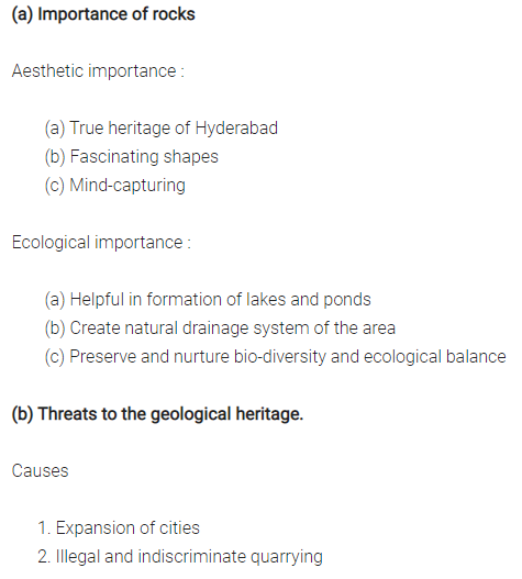 NCERT Solutions for Class 10 English Main Course Book Unit 4 Environment Chapter 5 Geological Heritage 4