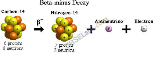 Nuclei Class 12 Notes Chapter 13 img-10