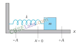 Oscillations Class 11 Notes Physics Chapter 14 img-2