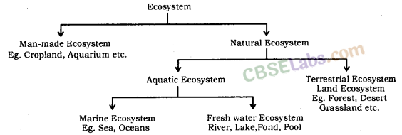 Our Environment Class 10 Notes Science Chapter 15 img-1