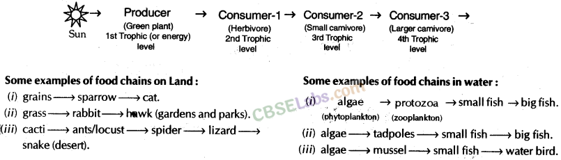 Our Environment Class 10 Notes Science Chapter 15 img-12