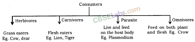Our Environment Class 10 Notes Science Chapter 15 img-2