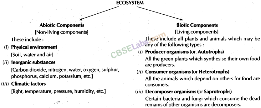 Our Environment Class 10 Notes Science Chapter 15 img-8