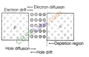 Semiconductor Electronic Material Devices And Simple Circuits Class 12 Notes Class 12 Notes Chapter 14 img-5