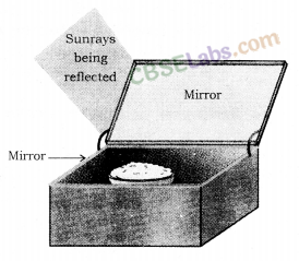 Sources of Energy Class 10 Notes Science Chapter 14 img-1