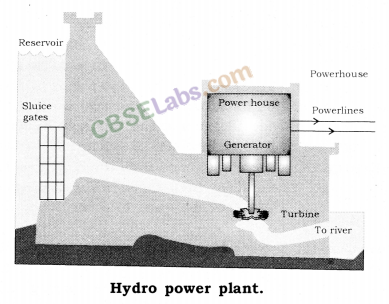 Sources of Energy Class 10 Notes Science Chapter 14 img-3