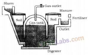 Sources of Energy Class 10 Notes Science Chapter 14 img-4