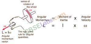 Systems of Particles and Rotational Motion Class 11 Notes Physics Chapter 7 img-14