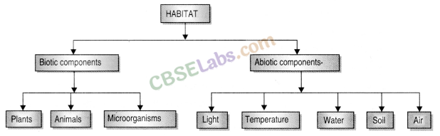 The Living Organisms and Their Surroundings Class 6 Notes Science Chapter 9 - Learn CBSE The Living Organisms and Their Surroundings Class 6 Notes Science Chapter 9 - Learn CBSE