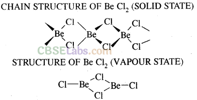 The s-Block Elements Class 11 Notes Chemistry Chapter 10 img-8