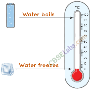 What is the one word for 'the property of a substance to absorb