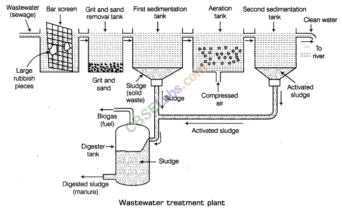 Waste Water Story Class 7 Notes Science Chapter 18 img-1