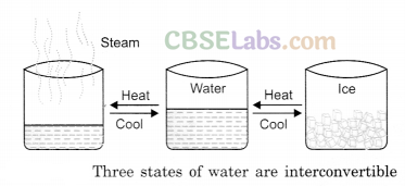 Water Class 6 Notes Science Chapter 14 img-1