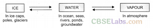 Water Class 6 Notes Science Chapter 14 img-2