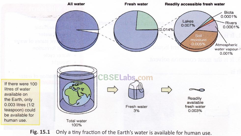 Water Class 6 Notes Science Chapter 14 img-6