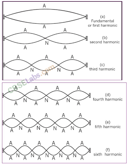 Waves Class 11 Notes Physics Chapter 15 img-6