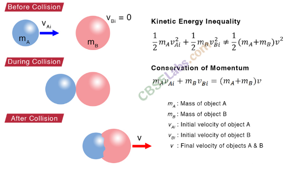 Work, Energy and Power Class 11 Notes Physics Chapter 6 img-5