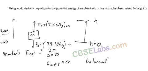 Work, Power and Energy Class 9 Notes Science Chapter 11 img-4