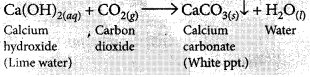 Acids Bases and Salts Class 10 Important Questions with Answers Science Chapter 2 Img 2