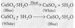 Acids Bases and Salts Class 10 Important Questions with Answers Science Chapter 2 Img 25