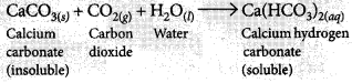 Acids Bases and Salts Class 10 Important Questions with Answers Science Chapter 2 Img 3