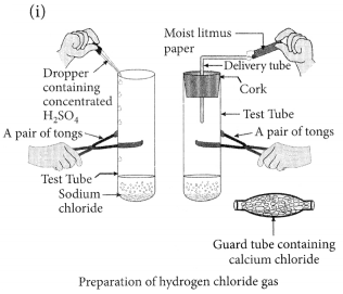 Acids Bases and Salts Class 10 Important Questions with Answers Science Chapter 2 Img 6