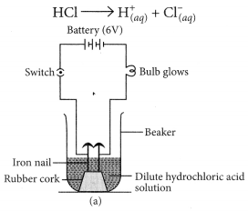 Acids Bases and Salts Class 10 Important Questions with Answers Science Chapter 2 Img 8