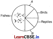 Biodiversity and Conservation Class 12 Important Questions and Answers  Biology Chapter 15 - Learn CBSE
