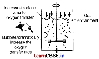 Biotechnology Principles and Processes Class 12 Important Questions and Answers Biology Chapter 11 Img 8