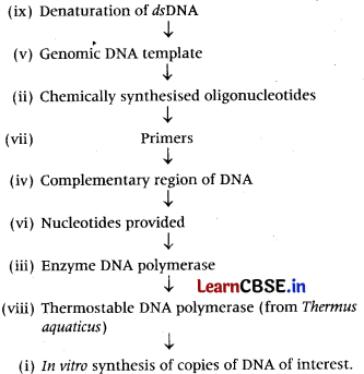 Biotechnology Principles and Processes Class 12 Important Questions and Answers Biology Chapter 11 Img 9