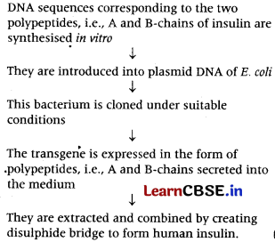 Biotechnology and its Applications Class 12 Important Questions and Answers Biology Chapter 12 Img 2
