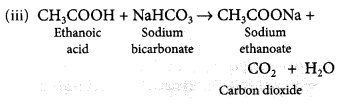Carbon and its Compounds Chapter Wise Important Questions Class 10 Science Img 52
