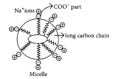 Carbon and its Compounds Chapter Wise Important Questions Class 10 Science Img 86