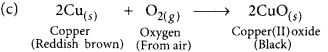 Chemical Reactions and Equations Class 10 Important Questions with Answers Science Chapter 1 Img 14