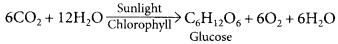 Chemical Reactions and Equations Class 10 Important Questions with Answers Science Chapter 1 Img 3