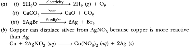 Chemical Reactions and Equations Class 10 Important Questions with Answers Science Chapter 1 Img 33