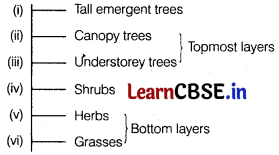 Ecosystem Class 12 Important Questions and Answers Biology Chapter 14 Img 1