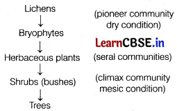 Ecosystem Class 12 Important Questions and Answers Biology Chapter 14 Img 12