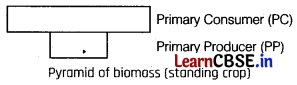 Ecosystem Class 12 Important Questions and Answers Biology Chapter 14 Img 4