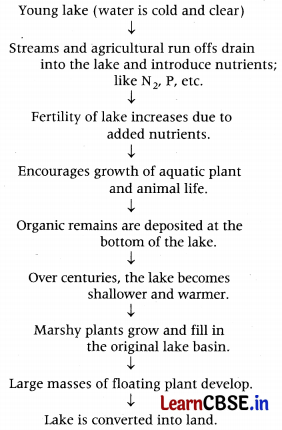 Environmental Issues Class 12 Important Questions and Answers Biology Chapter 16 Img 6