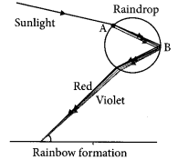 Light Reflection and Refraction Class 10 Important Questions with Answers Science Chapter 10 Img 8
