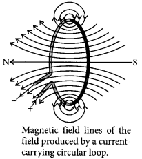 Magnetic Effects of Electric Current Class 10 Important Questions with Answers Science Chapter 13 Img 12