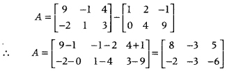 Matrices Class 12 Maths Important Questions Chapter 3 6