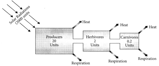 Our Environment Class 10 Important Questions with Answers Science Chapter 15 Img 10