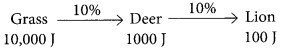 Our Environment Class 10 Important Questions with Answers Science Chapter 15 Img 5