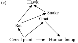 Our Environment Class 10 Important Questions with Answers Science Chapter 15 Img 6