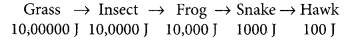 Our Environment Class 10 Important Questions with Answers Science Chapter 15 Img 7